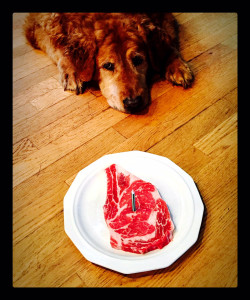JackDog-Steak